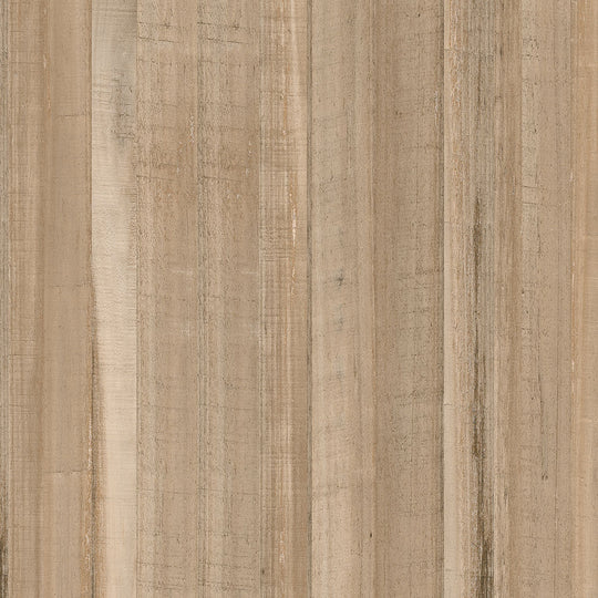 size_500x500