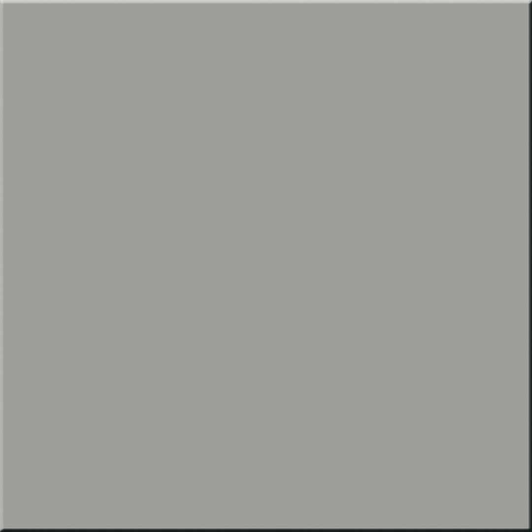 Project Grey