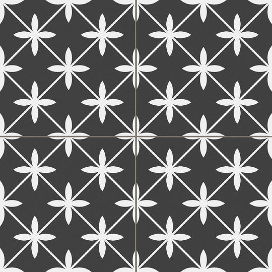 Star Black